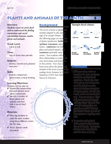 Plants and Animals of the Arctic Lesson Plan