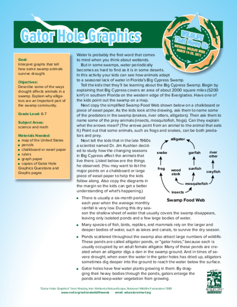 Gator Hole Graphics Lesson Plan