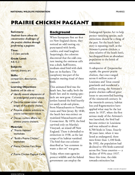 Prairie Chicken Pageant Lesson Plan