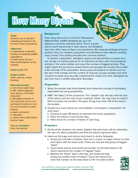 How Many Bison? Lesson Plan