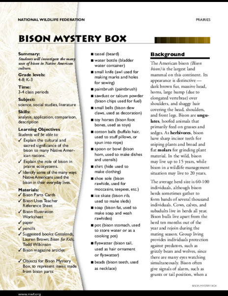 Bison Mystery Box Lesson Plan