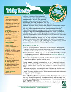 Tricky Tracks Lesson Plan