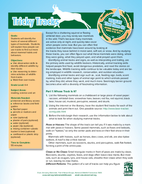 Tricky Tracks Lesson Plan