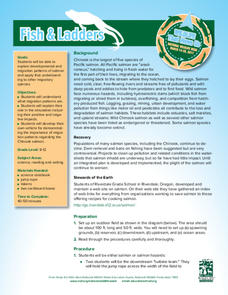 Fish and Ladders: Grades 9-12 Lesson Plan