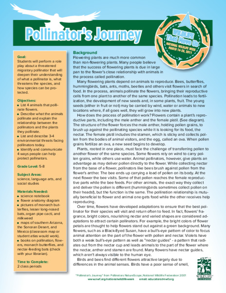 Pollinator's Journey: Grades 5-8 Lesson Plan