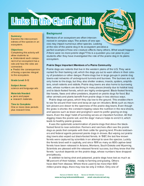 Links in the Chain of Life Activity