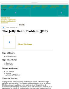 The Jelly Bean Problem Lesson Plan