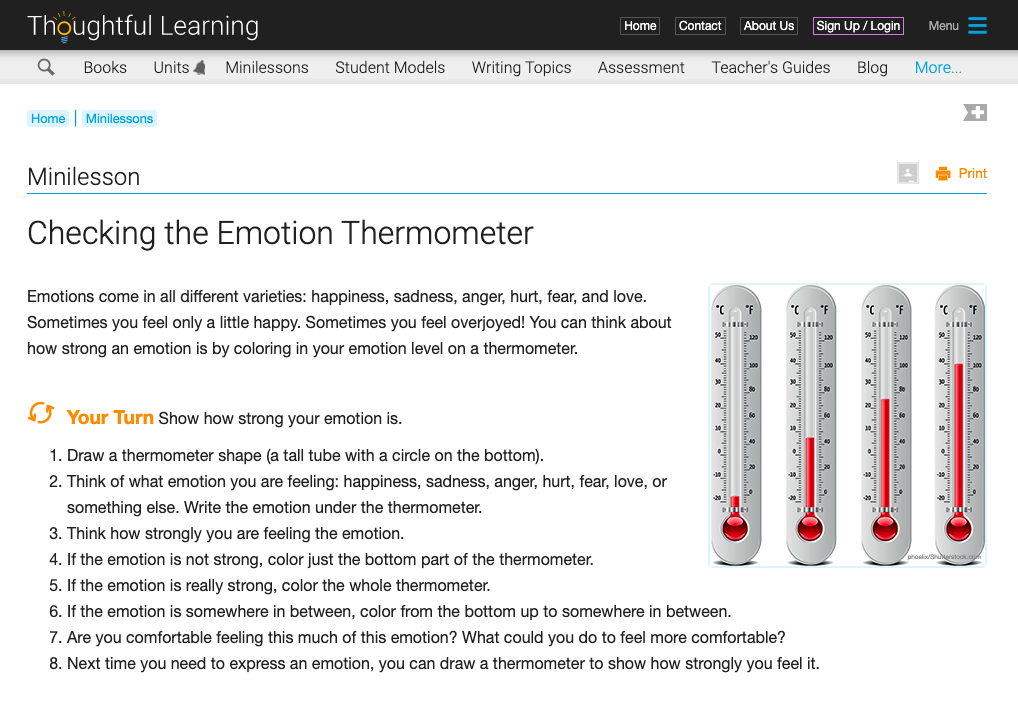 Checking the Emotion Thermometer Activity