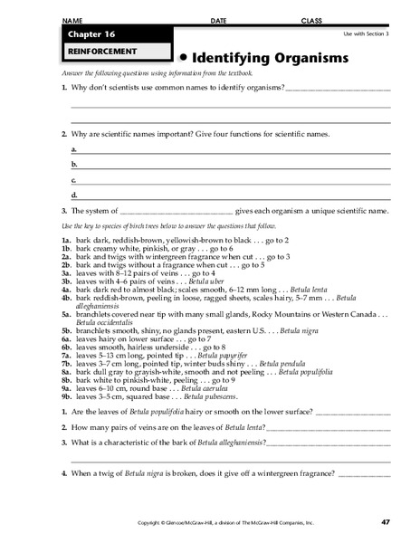 Identifying Organisms Worksheet