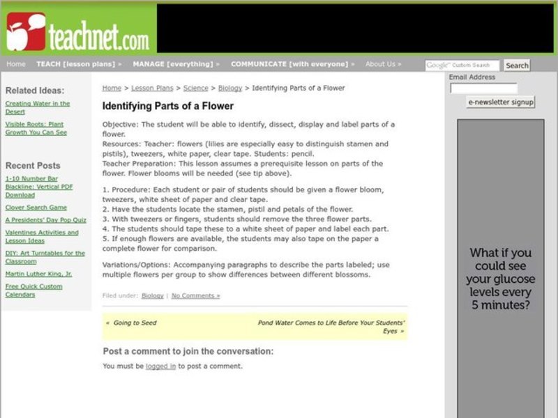 Identifying Parts of a Flower Lesson Plan