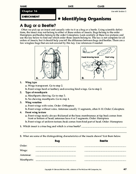 Identifying Organisms Worksheet