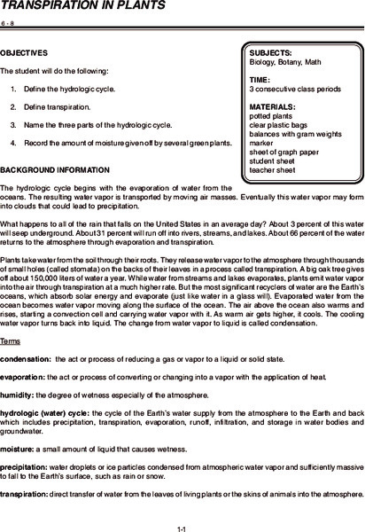 TRANSPIRATION IN PLANTS Lesson Plan