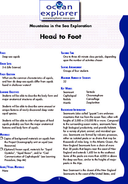 Head to Foot Lesson Plan