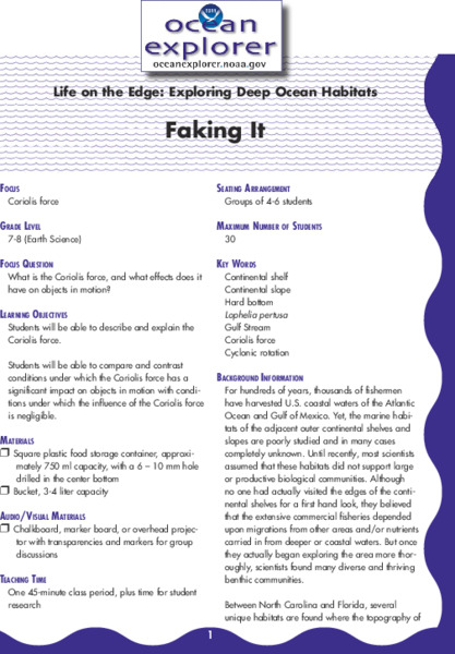 Faking It Lesson Plan