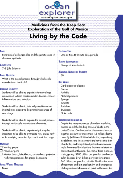 Living by the Code Lesson Plan