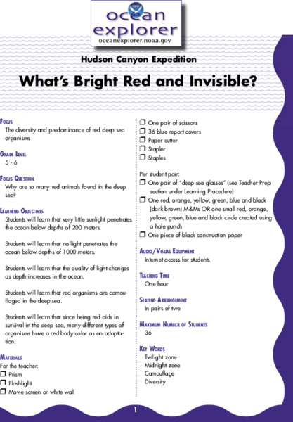 What's Bright Red and Invisible? Lesson Plan