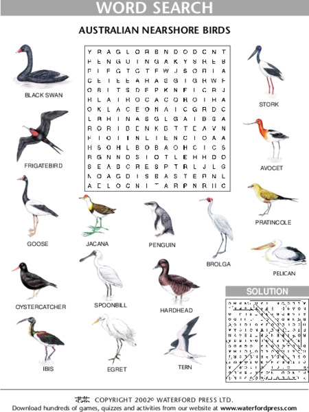 Austrailian Nearshore Birds Lesson Plan