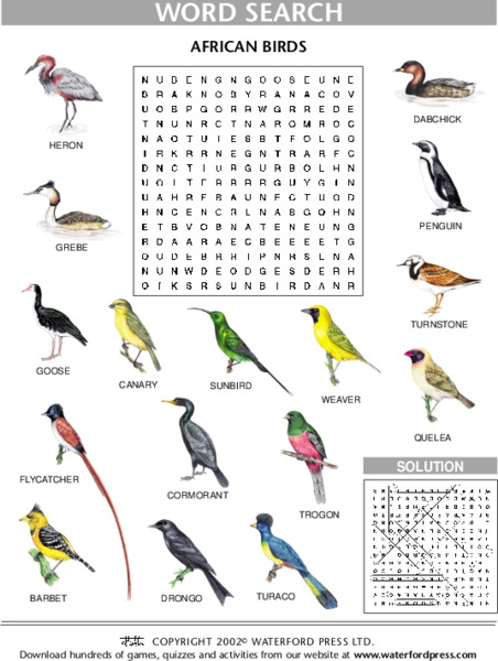 Word Search: African Birds Lesson Plan