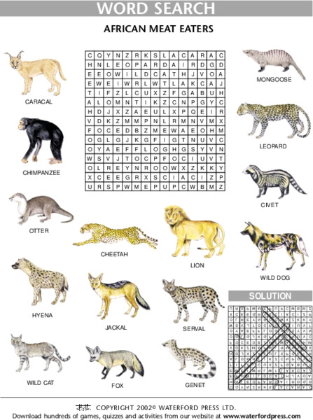 African Animals Word Search Lesson Plan