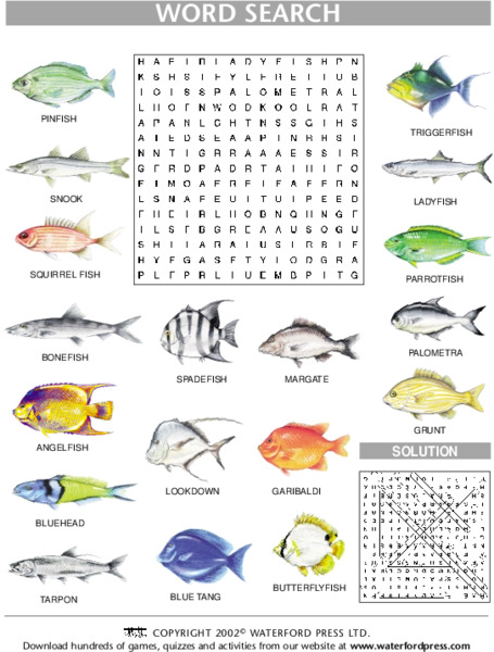 Word Search: Fish Lesson Plan