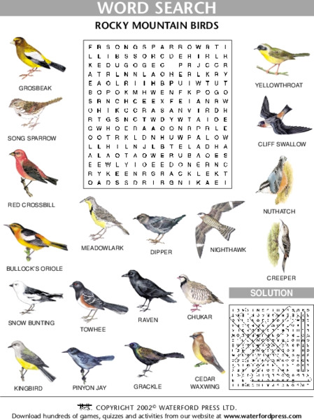 Rocky Mountain Birds Lesson Plan