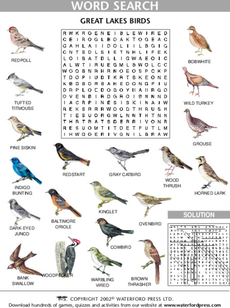 Word Search: Great Lakes Birds Lesson Plan