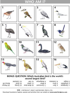 Who Am I? Lesson Plan