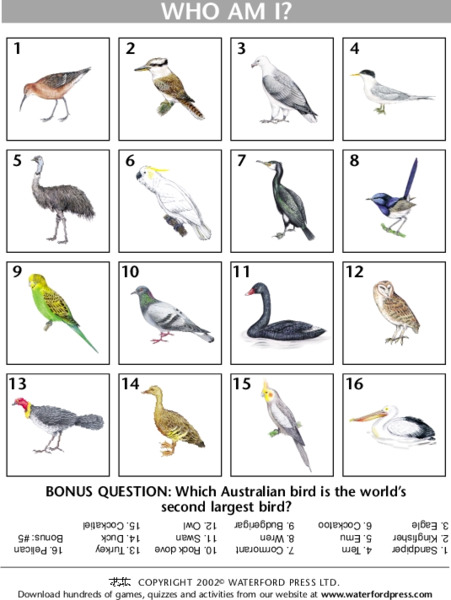 Who Am I? Lesson Plan