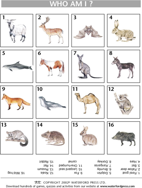 Who am I? - Mammals Lesson Plan