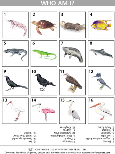 Who Am I? Lesson Plan