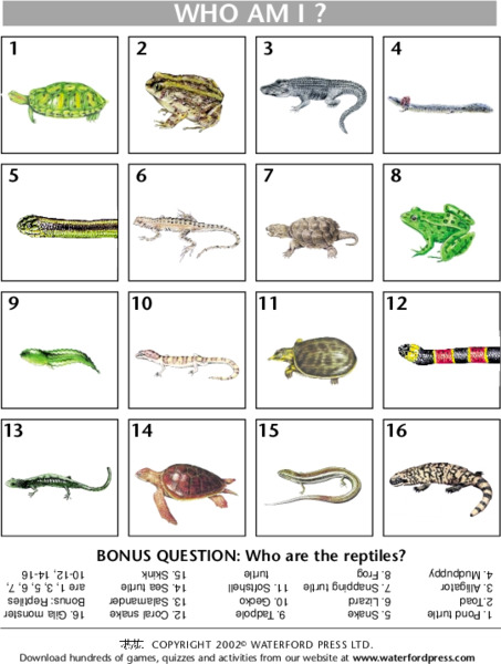 Who Am I? Lesson Plan