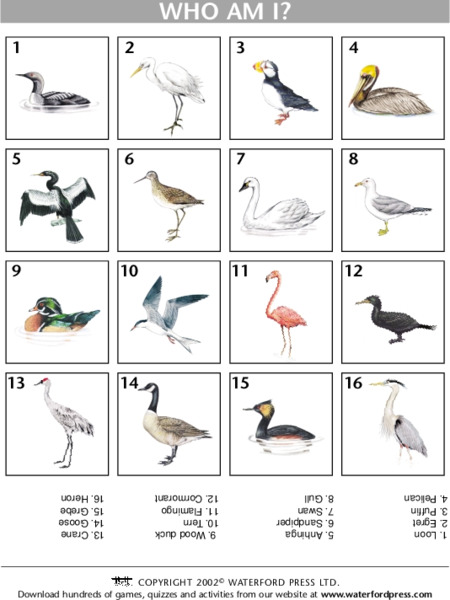 Who Am I? Lesson Plan