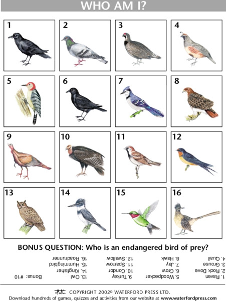 Who am I? Lesson Plan