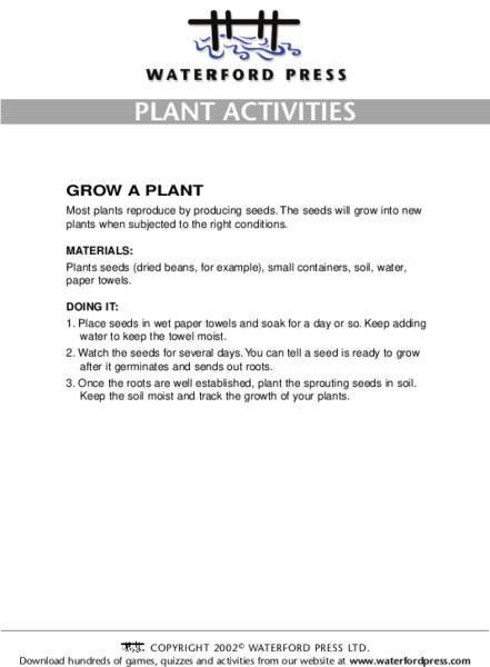 Plant Activities: Grow a Plant Lesson Plan