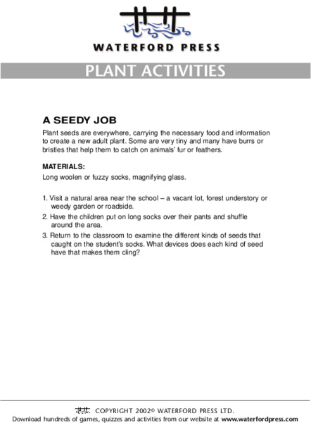 Plant Activities: A Seedy Job Lesson Plan