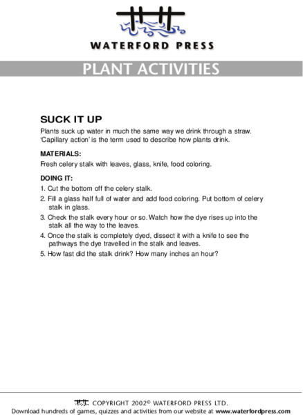 Plant Activities: Suck it up Lesson Plan