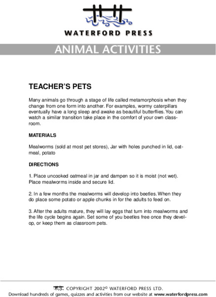 Animal Activities: Teacher's Pets Lesson Plan