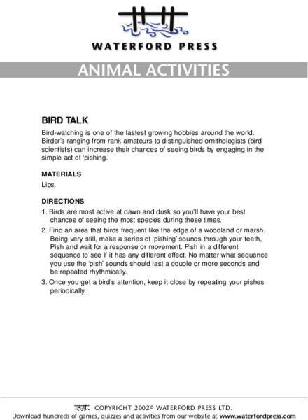 Animal Activities: Bird Talk Lesson Plan