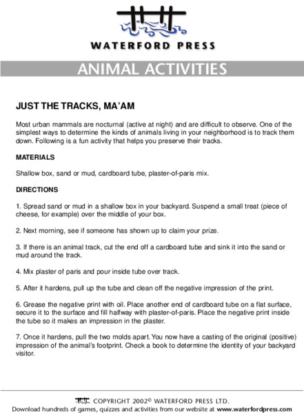 Animal Activities: Just the tracks, ma'am Lesson Plan