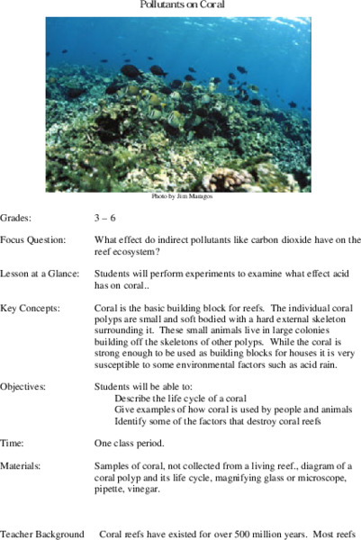 Pollutants on Coral Lesson Plan