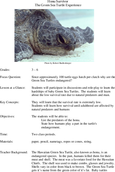 Honu Survivor: The Green Sea Turtle Experience Lesson Plan
