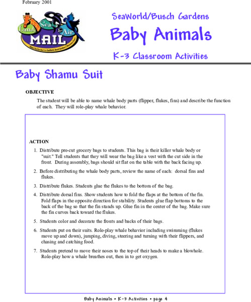 Baby Shamu Suit Lesson Plan