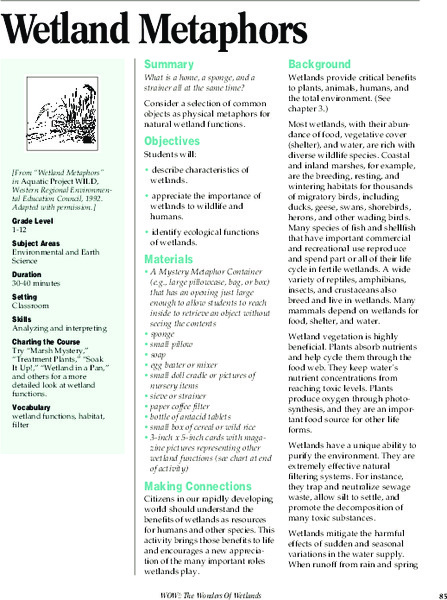 Wetland Metaphors Lesson Plan