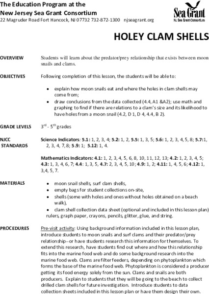 Holey Clamshells Lesson Plan