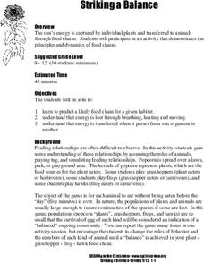 Striking a Balance Lesson Plan