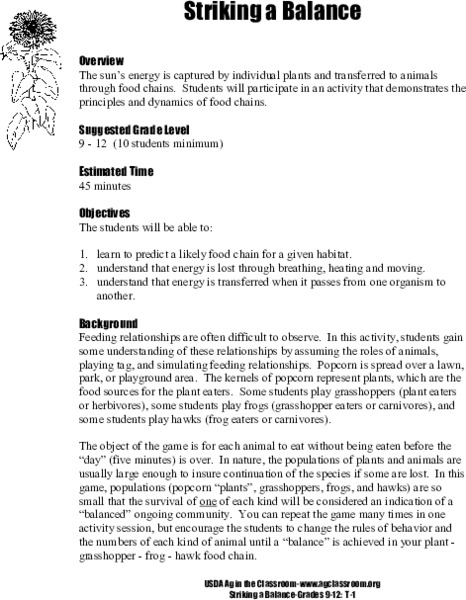 Striking a Balance Lesson Plan