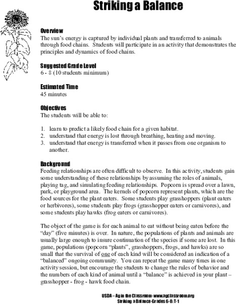 Striking a Balance Lesson Plan