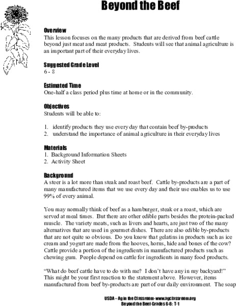 Beyond the Beef Lesson Plan