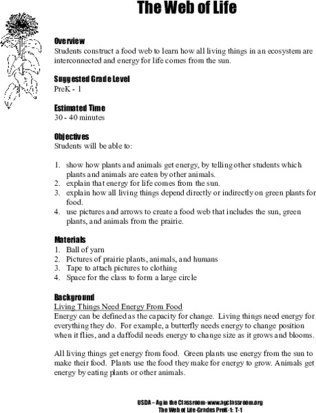 The Web of Life Lesson Plan