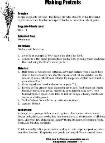 Making Pretzels Lesson Plan